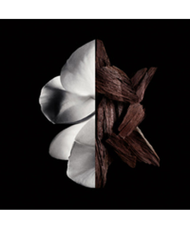 V4H46E471AB8BD8CF775675784443227F89R6237559P3