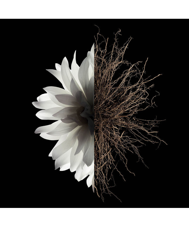 V4HF061D8644725313D6735AE360B99555CR6239564P2