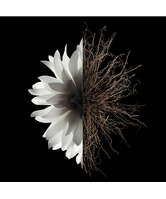 V5H4F6C68948B6ADA165E7B530CCE988CC6R6239565P3