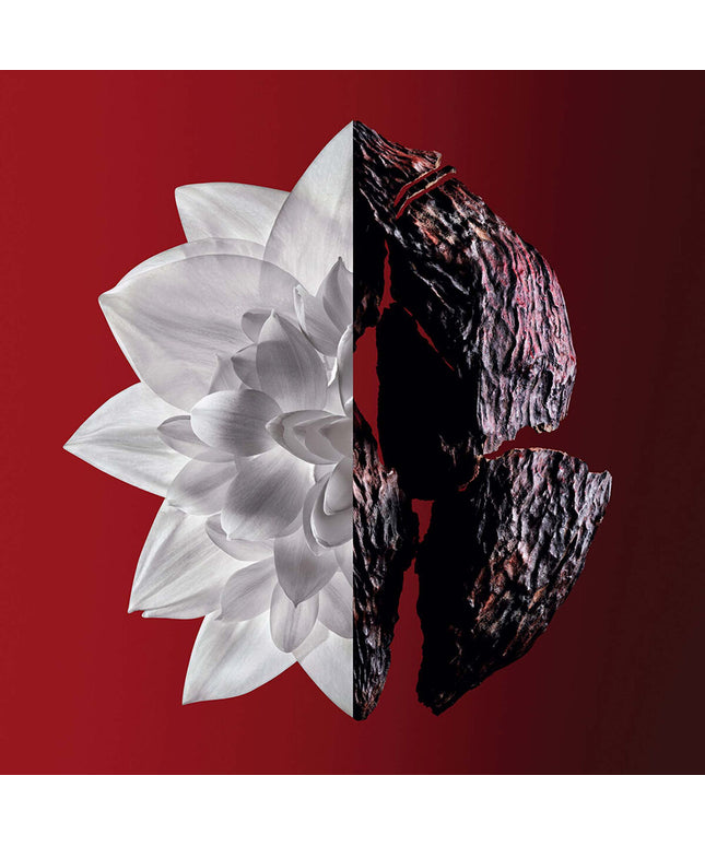 V6HFC5BB530DCFFEC225605BC1D62A14F7ER5306328P2