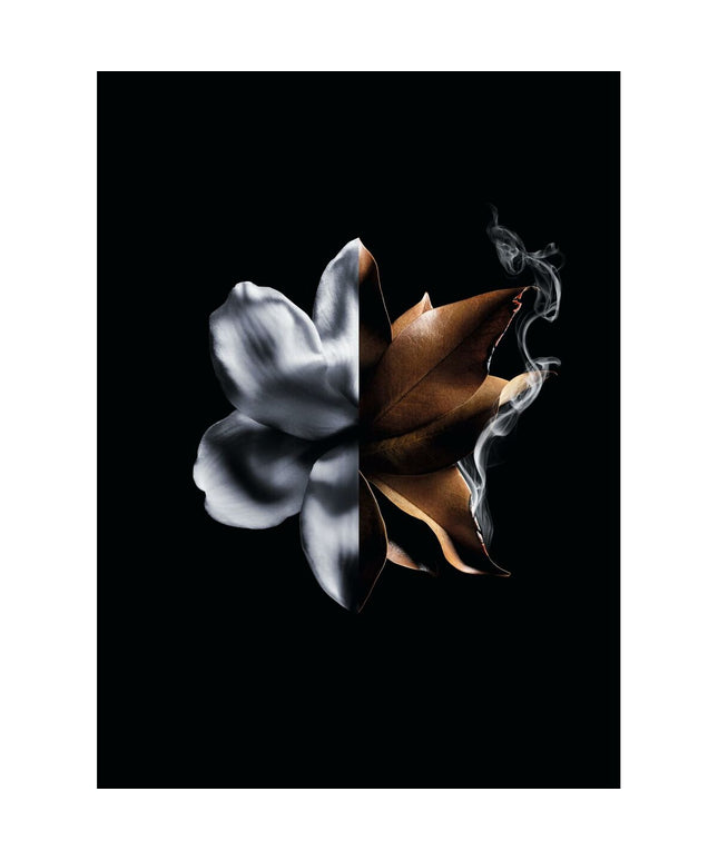 V5HA94868E4507C3D603F80BBACB150FA25R6240162P6