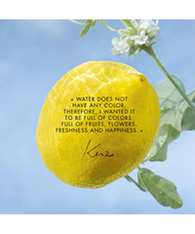 V4HAE41DEC245A48428A2777FE1055C546FR6237861P3