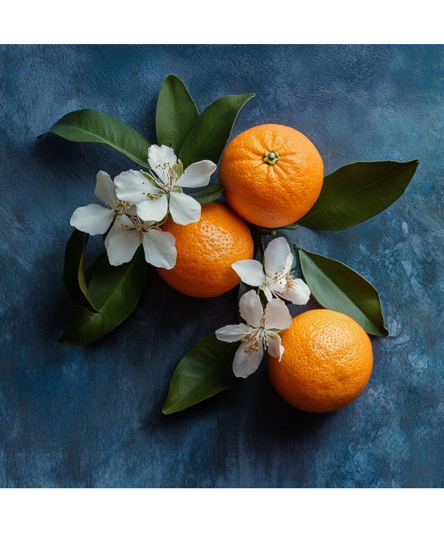 V4H51FC29EC60B3CB3E4568E7E148D99D2FR7528114P3