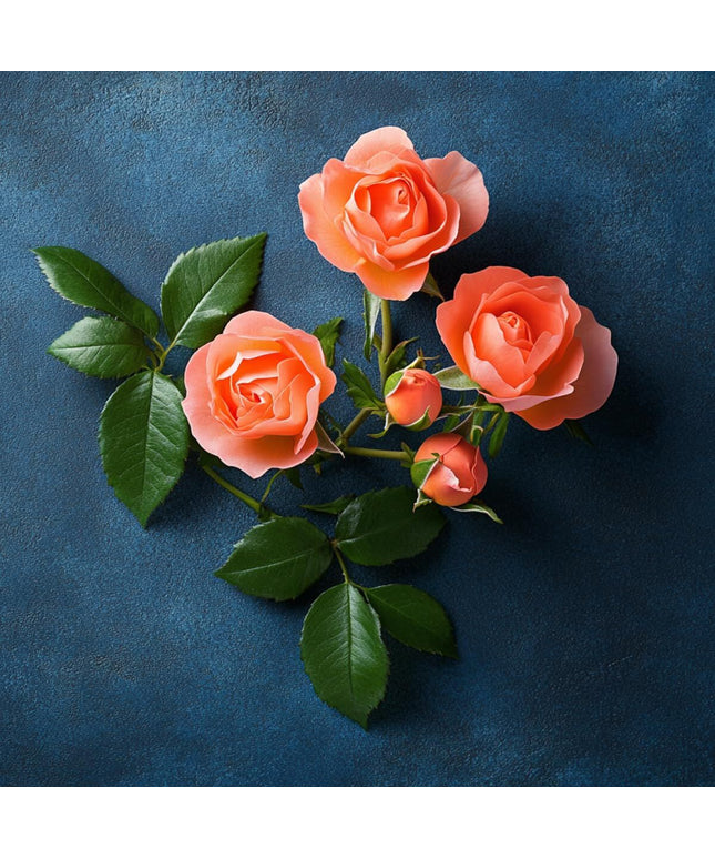 V4H8455113CA366E8046AF1DAC6DFD8B192R7528115P4