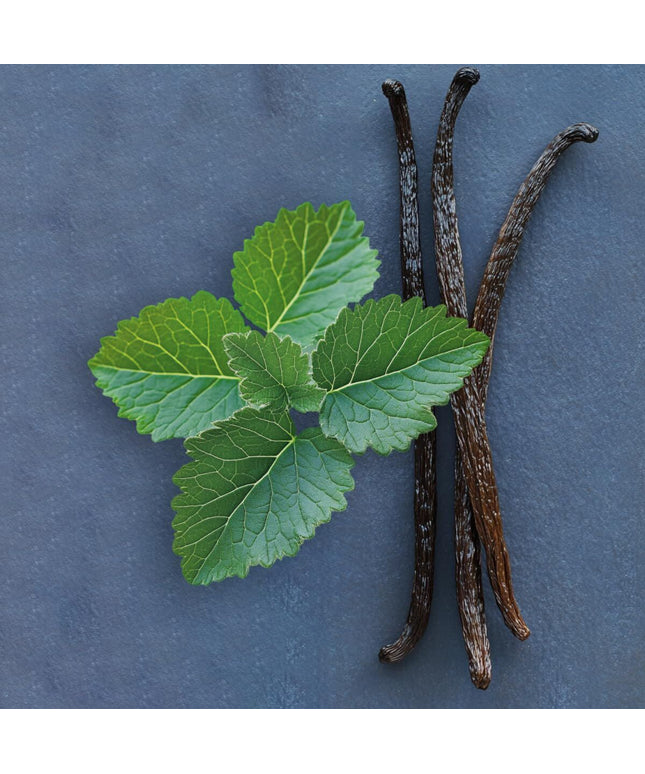 V4HA402E546EAA28395559BCC34333C22B2R7528116P5