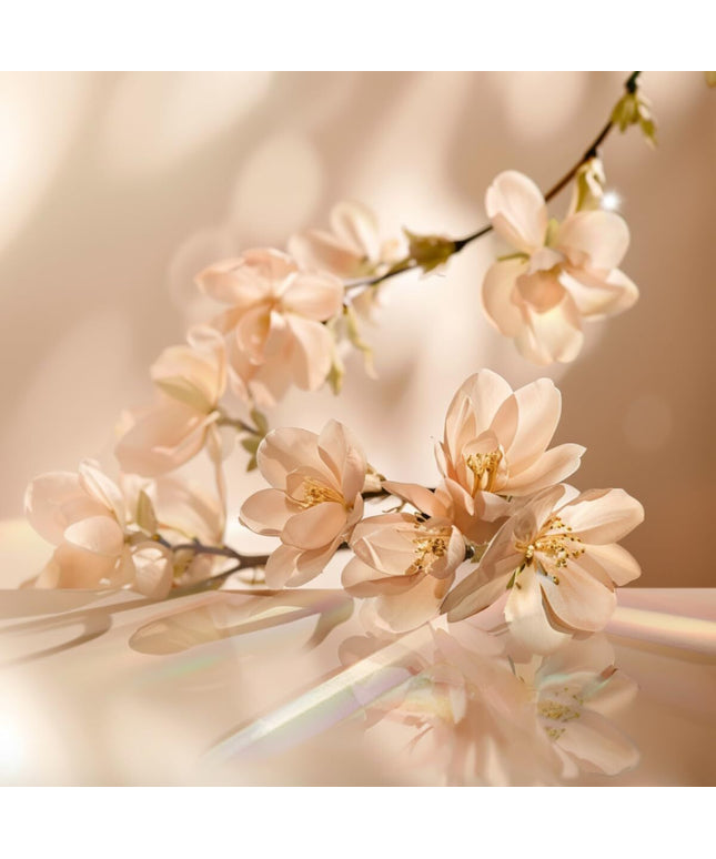 V4H9755B0E1C5CBD22B7BC507B86035E260R7415525P2