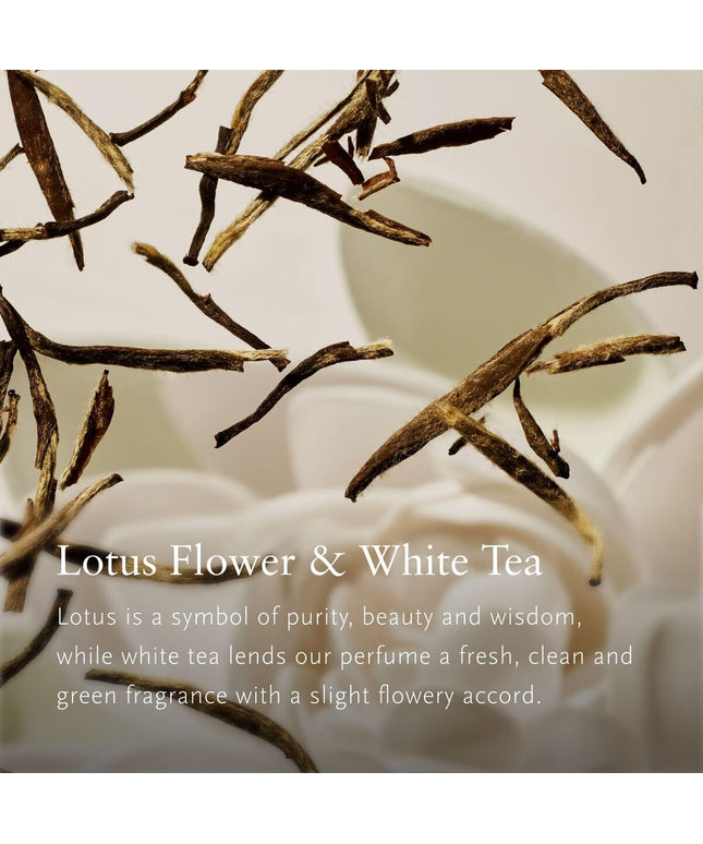 V2H9703361F6F5A2A859B2D7CE99D8F9598R7587143P3