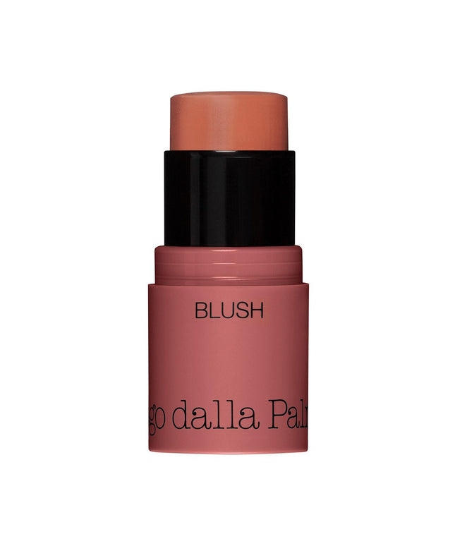 Diego Dalla Palma, All In One, Blush Stick, 42, Salmon, 4 g
